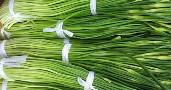 30 năm kinh nghiệm mua rau, 5 loại rau nông dân "không dùng thuốc trừ sâu", tươi ngon giá rẻ