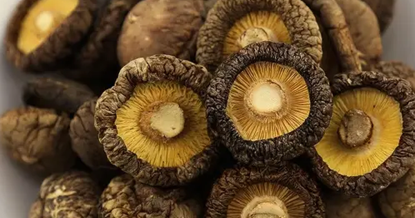 Gặp 5 loại rau này ở chợ nên mua ngay, điểm chung là vị đắng nhưng bổ dưỡng hơn nhân sâm, giúp kéo dài tuổi thọ