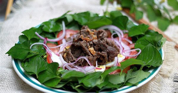 Người Việt có loại lá tốt ngang kem chống nắng tự nhiên, sản sinh collagen hiệu quả nhưng nhiều chị em không dám dùng