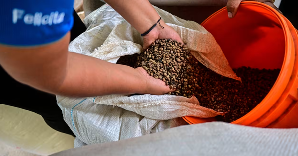 Tổng thống Donald Trump áp thuế đối ứng, người Mỹ sắp phải trả thêm tiền cho một thức uống quen thuộc - Là sản phẩm Việt Nam được ưu đãi thuế nhập khẩu 0%