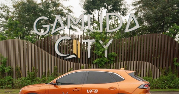 Giải mã lý do VinFast VF 8 được yêu thích trong phân khuc D-SUV