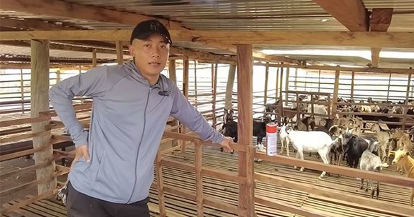 Quang Linh Vlogs tham gia vào những doanh nghiệp nào trước khi hào quang vụt tắt?