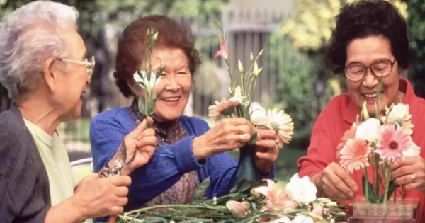 Nghỉ lễ, liên tục tham dự 3 buổi tụ họp, cụ ông U70 quyết định ngừng gặp gỡ vô nghĩa: Quan hệ họ hàng, bè bạn hay đồng nghiệp phải tỉnh táo