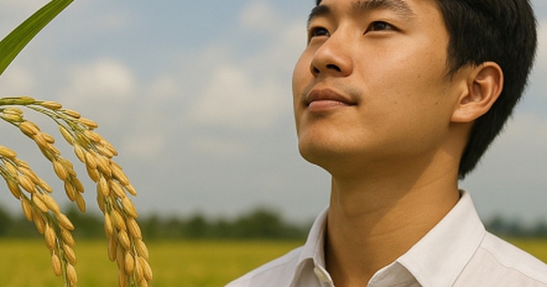 Bông lúa chín không cần cúi đầu, người giỏi phải ngẩng cao đầu