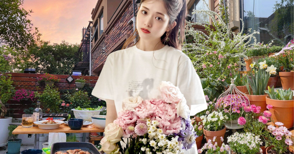 Ở tuổi 31, cô gái trẻ đã mua được căn nhà có sân vườn và sau 300 ngày, khu vườn đã nở rộ đầy hoa!