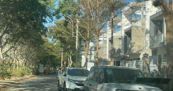 Đất Cần Giờ "sốt" theo đại dự án