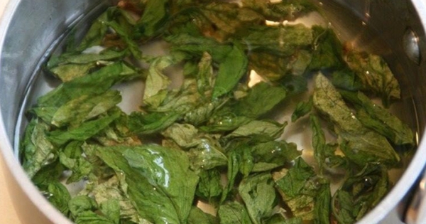 Việt Nam có loại lá chống rụng tóc, kích thích mọc tóc con, trị được nhiều bệnh: Dùng đúng là "kho báu tự nhiên"!