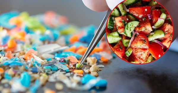 Một loại quả quen thuộc trên mâm cơm Việt, nay là ‘ổ chứa’ vi nhựa nhiều bậc nhất