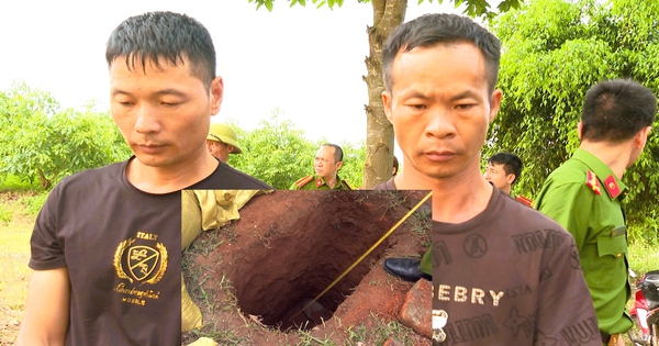 Xử lý nghiêm hành vi xâm hại lăng mộ vua Lê Túc Tông