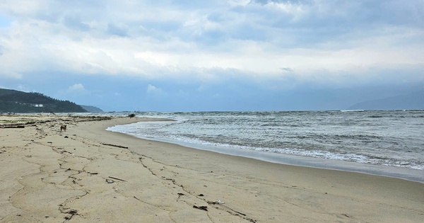 Đà Nẵng lập Tổ công tác nghiên cứu ý tưởng lấn biển