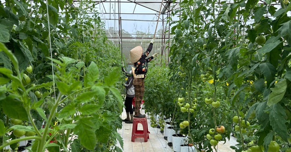 NÓNG: Cảnh báo thông tin tuyển dụng lao động đi Israel lan truyền trên mạng xã hội