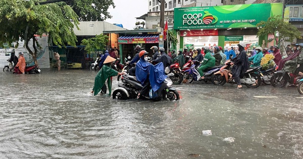 Vụ bé 10 tuổi bị cây rơi trúng đầu, mưa ngập: Chủ tịch UBND TP HCM ra chỉ đạo