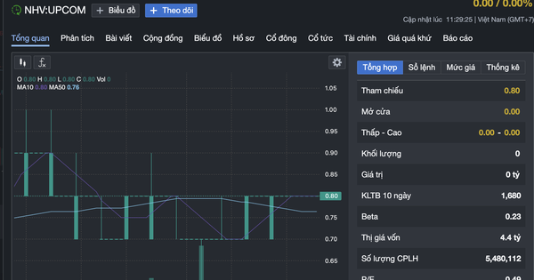 Một công ty ứng gần 96% tài sản cho tổng giám đốc đi đầu tư tài chính