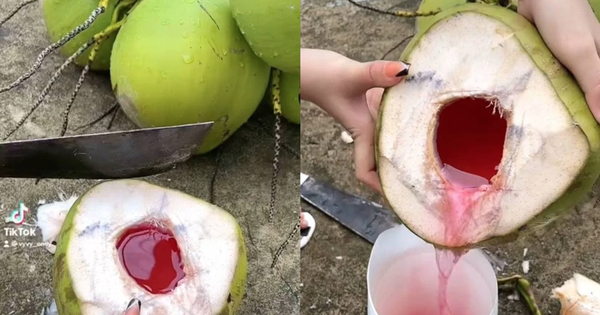 Loại quả mùa hè rẻ tiền có mặt khắp Việt Nam, không chỉ giải khát mà còn được ưa chuộng vì mát gan, thải độc