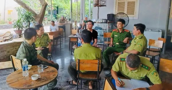 Huế: Mang chim đến quán cà phê phải có giấy tờ hợp pháp