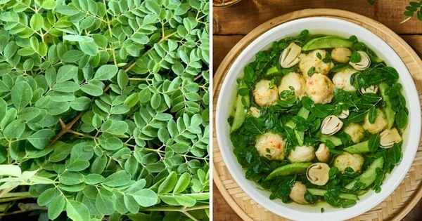 Loại rau được ví như “thịt bò của người nghèo”, nhiều vitamin C hơn cam, chanh, biết tận dụng tốt ngang thuốc bổ: Việt Nam có sẵn