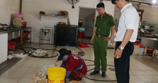 Đồng Nai: Phát hiện nhiều mẫu chả dương tính với hàn the