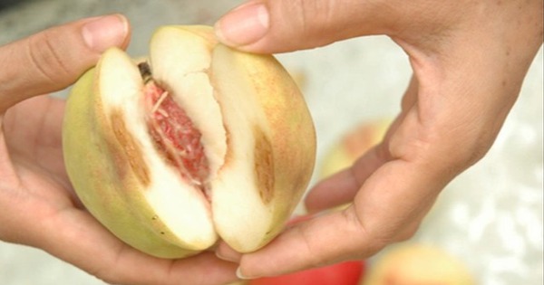 3 loại thực phẩm để lâu trong tủ lạnh có thể là “đồng phạm” gây ung thư dạ dày