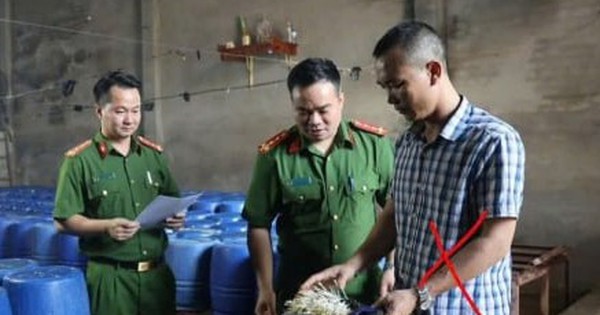 Khởi tố chủ cơ sở bán 60 tấn giá đỗ dùng chất kích thích tăng trưởng
