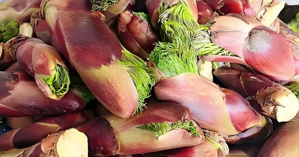 1 loại rau mọc dại ở Việt Nam nhưng được người Trung Quốc “quý như vàng”: Giá ngang thịt bò, bổ tựa nhân sâm nhưng ít người biết