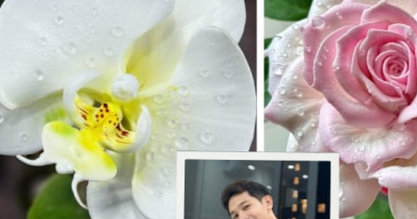 Chàng trai TP.HCM làm hoa bằng kem "thật còn hơn cả hoa thật"