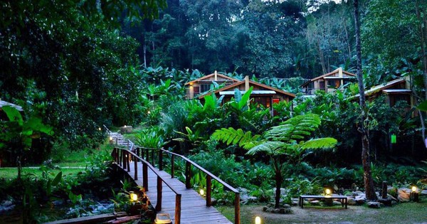 "Nuôi mộng xây homestay vừa nghỉ dưỡng vừa sinh lời, chưa đầy 2 năm tôi muốn bán cắt lỗ"