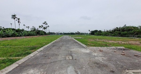 Giá đất nền tăng do yếu tố đầu cơ từ thông tin sáp nhập?