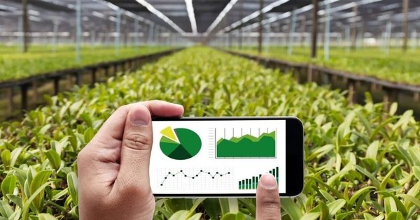 Trung Quốc khiến thế giới ngỡ ngàng khi bê robot, AI đi… trồng rau giữa sa mạc, khẳng định trình độ công nghệ nông nghiệp vươn đến top đầu toàn cầu