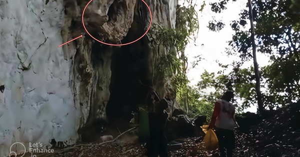 Lần theo manh mối được cung cấp tới vách đá, chuyên gia hân hoan tìm thấy loài "tuyệt chủng" hơn 170 năm