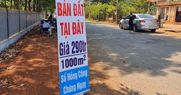 “Cơn sốt” đất nền đổ bộ Hải Phòng, Hưng Yên: Chuyện gì đang xảy ra?