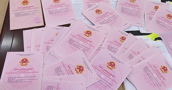 Truy tố Trần Thị Hường giả danh Trưởng văn phòng luật sư, hứa làm sổ đỏ, chiếm đoạt hơn 10 tỷ