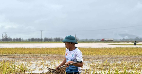 Lũ đến bất ngờ vào mùa hè: "Chúng tôi mất trắng… rồi"