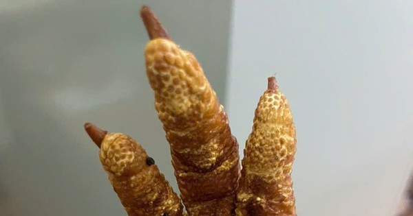 Hà Nội: Bắt giữ hơn 1 tấn chân gà chiên không rõ nguồn gốc