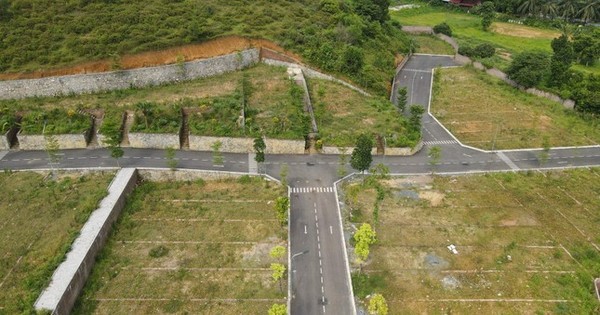 Đất huyện ngoại thành Hà Nội đấu giá cao nhất gần 181 triệu đồng/m2