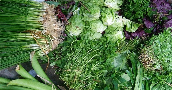 Loại rau không chợ Việt nào thiếu được, tưởng ăn cho thơm ai ngờ là KHẮC TINH của ung thư miệng, dạ dày, thực quản