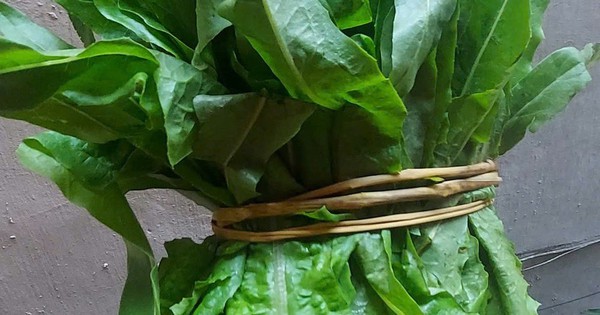 Loại rau "nhà nghèo" bổ hơn tổ yến, canxi gấp 36 lần nước hầm xương, chợ Việt bán nhiều vô kể