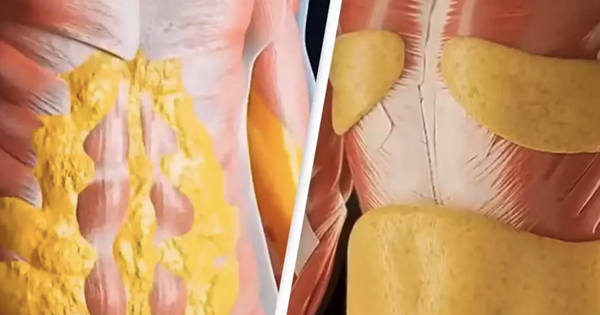 Video hơn 8 triệu lượt xem chỉ ra thay đổi của cơ thể khi nhịn ăn 36 giời khiến nhiều người "sốc"