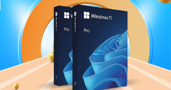 ADG Technology và Windows 11: Giải mã lựa chọn hệ điều hành tối ưu