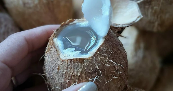 Việt Nam có 2 loại “nước trường thọ”, giá rẻ bèo nhưng bổ ngang nhân sâm, tổ yến: Người mắc Covid-19 nên bổ sung để tăng miễn dịch, phục hồi nhanh