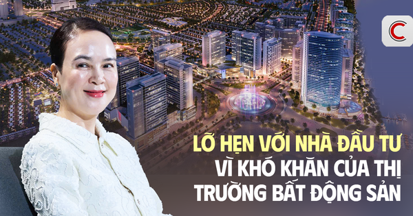 Giám đốc đầu tư Tập đoàn Nam Long trải lòng: Từ...