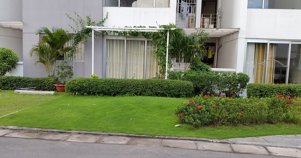 Vỡ mộng mua nhà có sân ở tầng trệt chung cư: người trong cuộc than trời, hàng ngày đều sống trong khổ sở