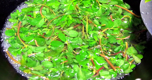 2 loại rau không lo "ngậm" thuốc trừ sâu, loại đầu bảng người Việt ít ai hay