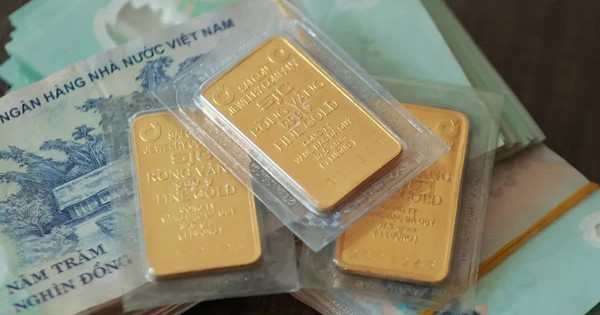 Thanh tra NHNN: Một mình Tổng giám đốc SJC quyết định giá vàng