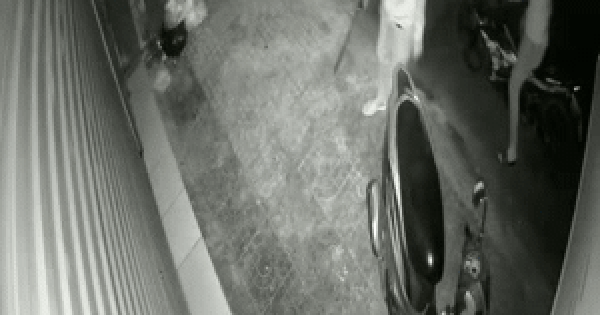 Người tố Công ty CP bán thịt lợn bẩn từng bị chém hụt: Camera ghi lại diễn biến nguy hiểm