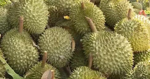 Thủ tướng yêu cầu không để tình trạng ùn tắc hàng hóa, nông sản tại cửa khẩu