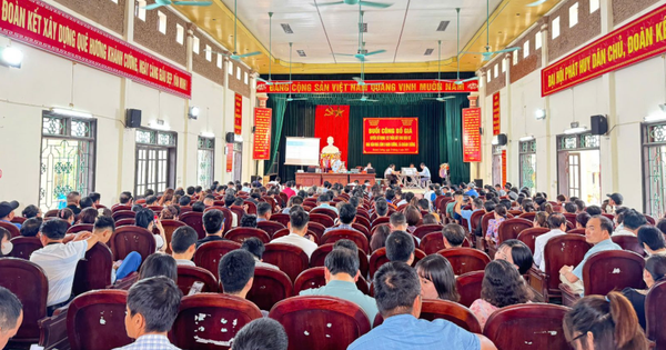 Ninh Bình: Thu về gần 500 tỷ đồng sau 6 phiên đấu giá, vượt hàng trăm tỷ đồng so với tổng giá khởi điểm