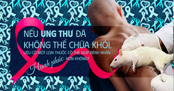 Các nhà khoa học tiêm thuốc chữa xương khớp cho chuột mắc ung thư giai đoạn cuối, chúng không khỏi ung thư, nhưng một điều kỳ diệu đã xảy ra