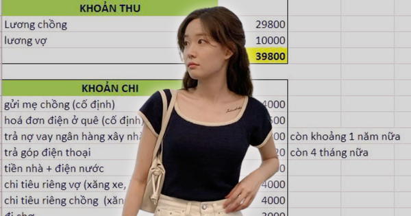 Cưới nhau về kiếm 40 triệu/tháng nhưng không dám sinh con, nhìn thứ này xong hiểu ngay ra vấn đề