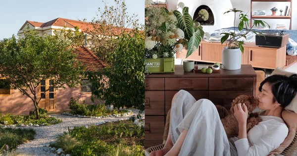 Người phụ nữ thuê 18.000 m2 đất để nghỉ hưu trên một hòn đảo, chi 180 triệu đồng/năm “mua” bình yên