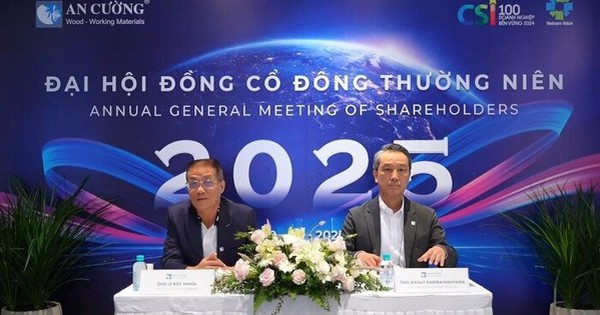 Novaland trả lãi khoản nợ vay 256 tỷ cho Gỗ An Cường bằng 13 căn shophouse giá trị khoảng 150-200 tỷ đồng